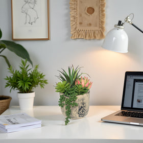 Hisow succulents on office desk provide low maintenance greenery