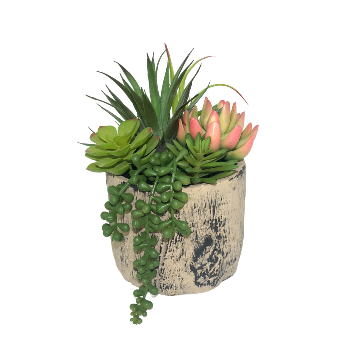 Hisow succulents in cement pot for durable desktop decor