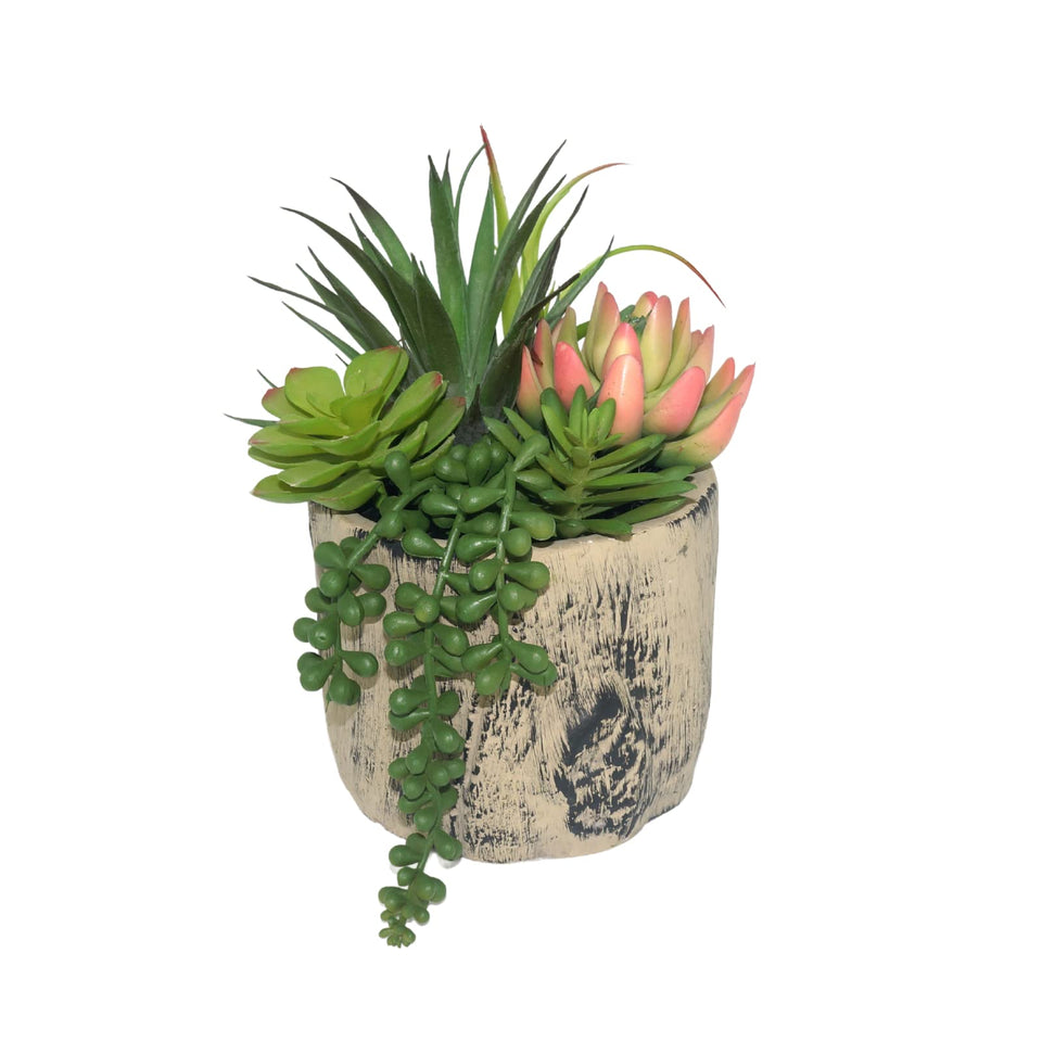 Hisow succulents in cement pot for durable desktop decor