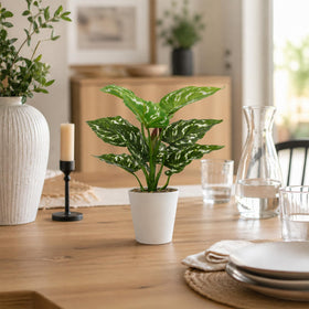 HNCSDD Chinese evergreen faux plant adds lush greenery to shelves.