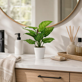 HNCSDD three-pack desk decor arrangement for compact spaces.