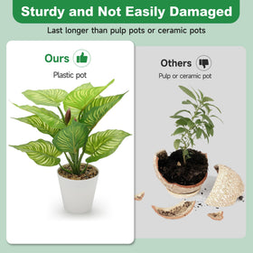 HNCSDD tropical leaf detail highlights realistic foliage in a room.