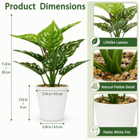 HNCSDD zebra plant artificial pot adds dynamic texture to any space.