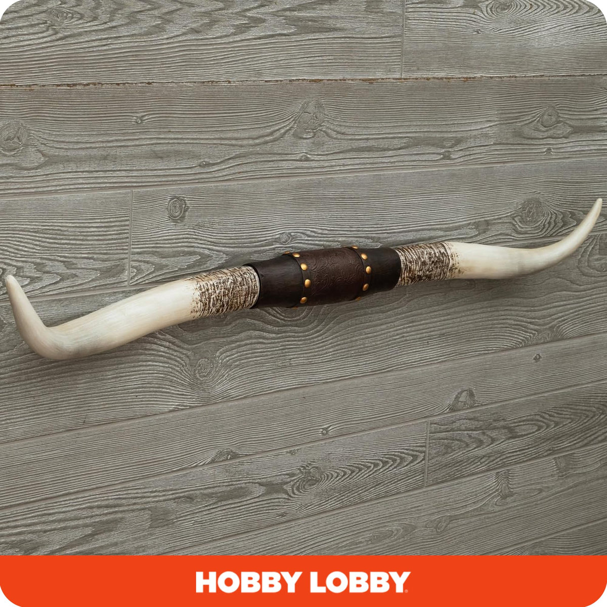 Hobby Lobby Longhorn wall decor gold studs provide metallic accent and depth.