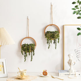 Hobyhoon maintenance-free plant is ideal for busy homes and offices