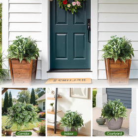 Hobyhoon plastic greenery built for outdoor use and weather resistance