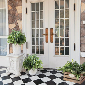 Hobyhoon yard decor bushes that boost curb appeal with no watering