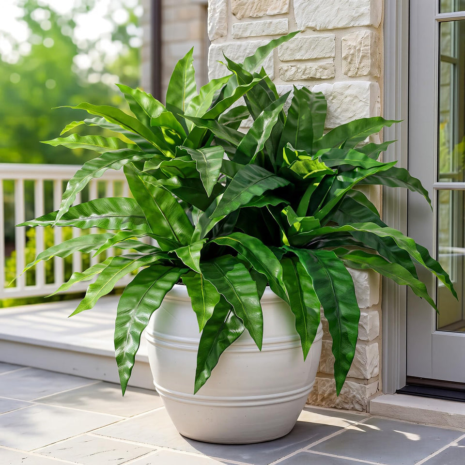 HOHOTIME 4pc outdoor artificial ferns with 60 blades for porch decor.