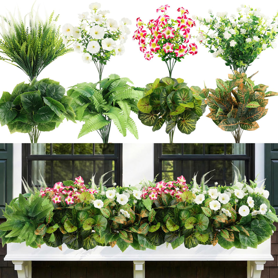 HOHOTIME begonia leaves display with vibrant color and low-maintenance outdoor decor
