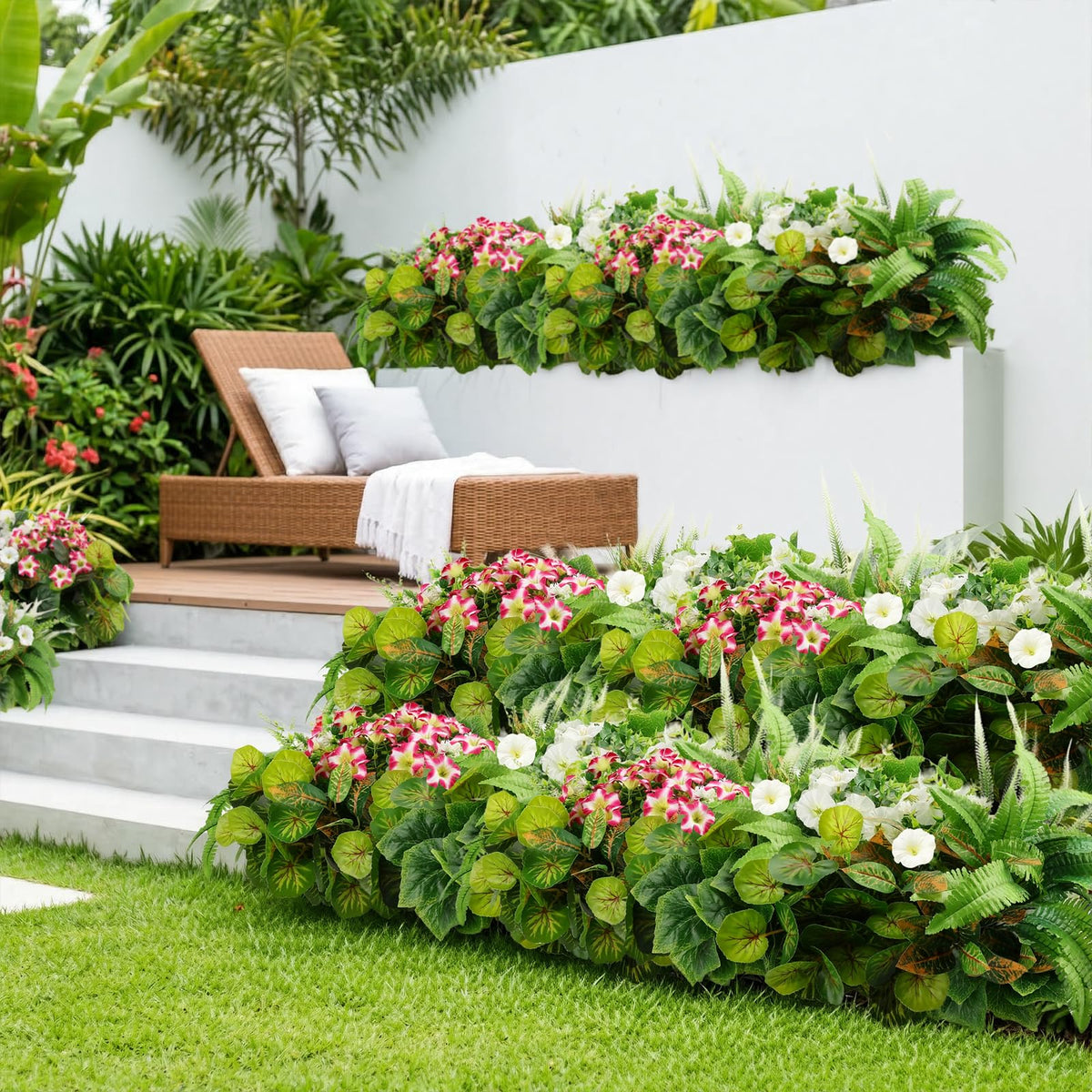 HOHOTIME morning-glory-flowers as a lively focal point for patios and boxes