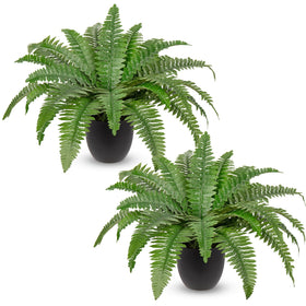 Hollyone artificial ferns in pot pack-2 on patio add year-round greenery.