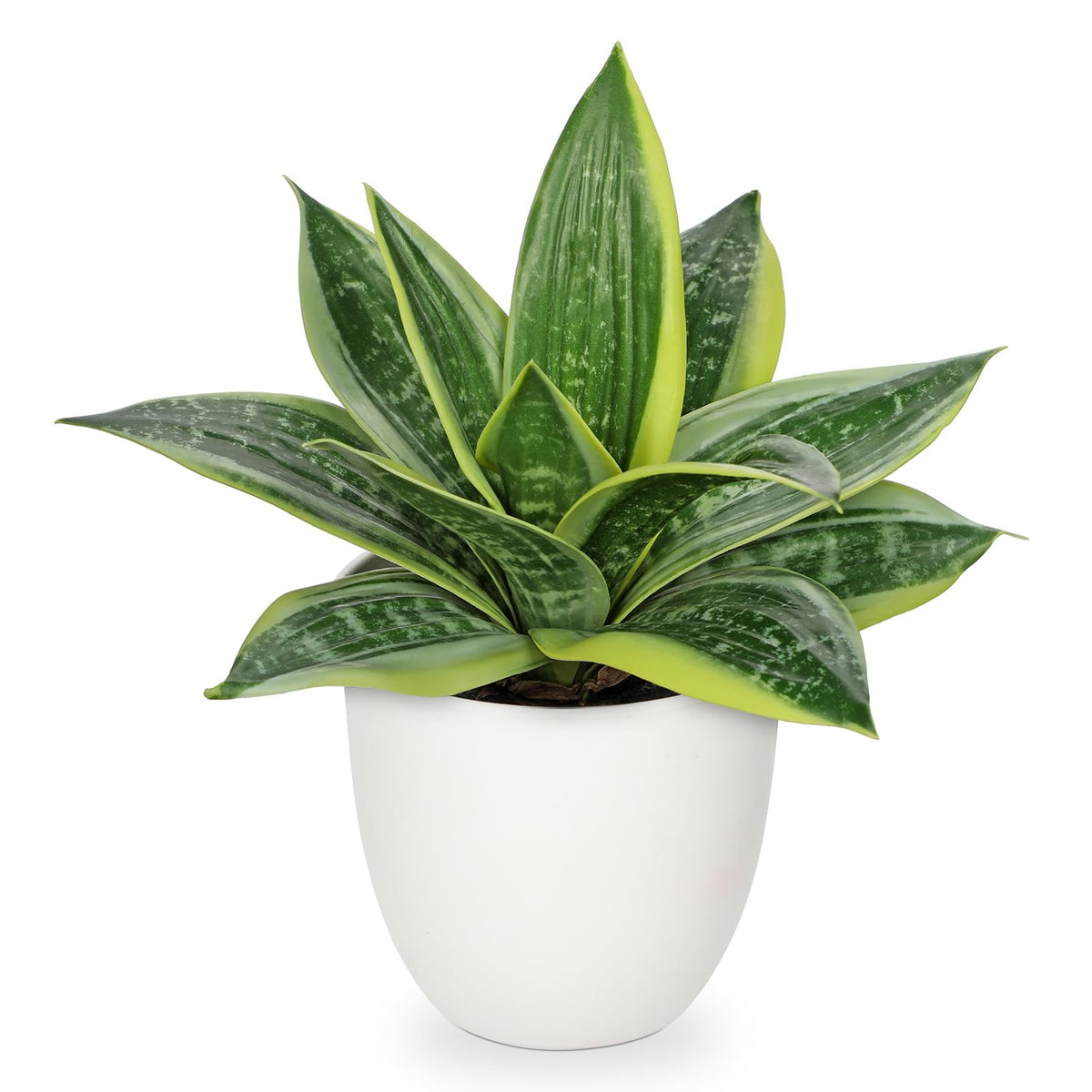 Hollyone artificial snake plant in a white pot for durable desk decor.