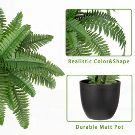 Hollyone decorative fern in pot enhances home or office spaces with greenery.