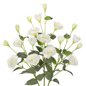 Hollyone eustoma lisianthus 34.5-inch stems with four heads for striking tall centerpieces.