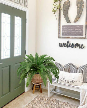 Hollyone home decor fern enhancing living room or office ambiance
