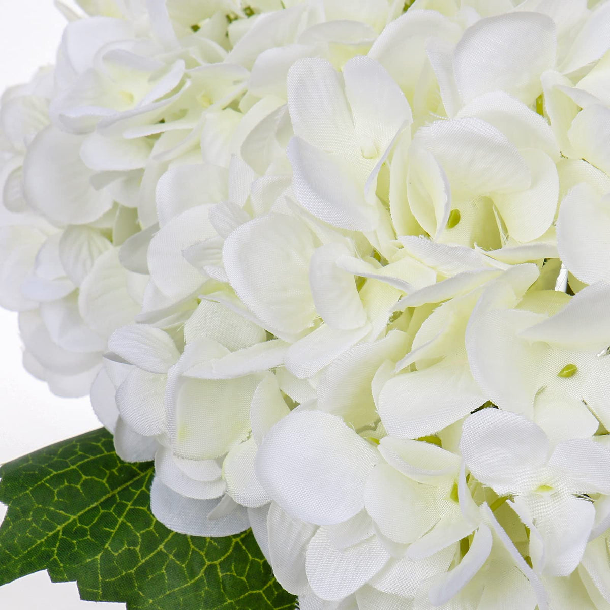 Hollyone Hydrangea four-head arrangement adds lasting beauty.
