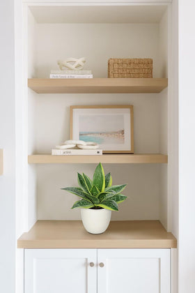 Hollyone indoor-outdoor faux plant fits indoor and patio spaces.