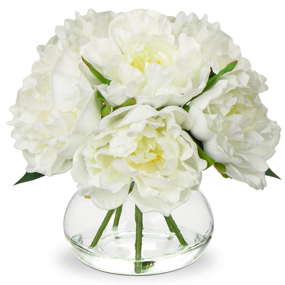 Hollyone white peonies in glass vase ready for home decor
