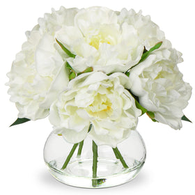 Hollyone white peonies in glass vase ready for home decor