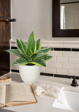 Hollyone polyester leaves offer lifelike texture and depth.