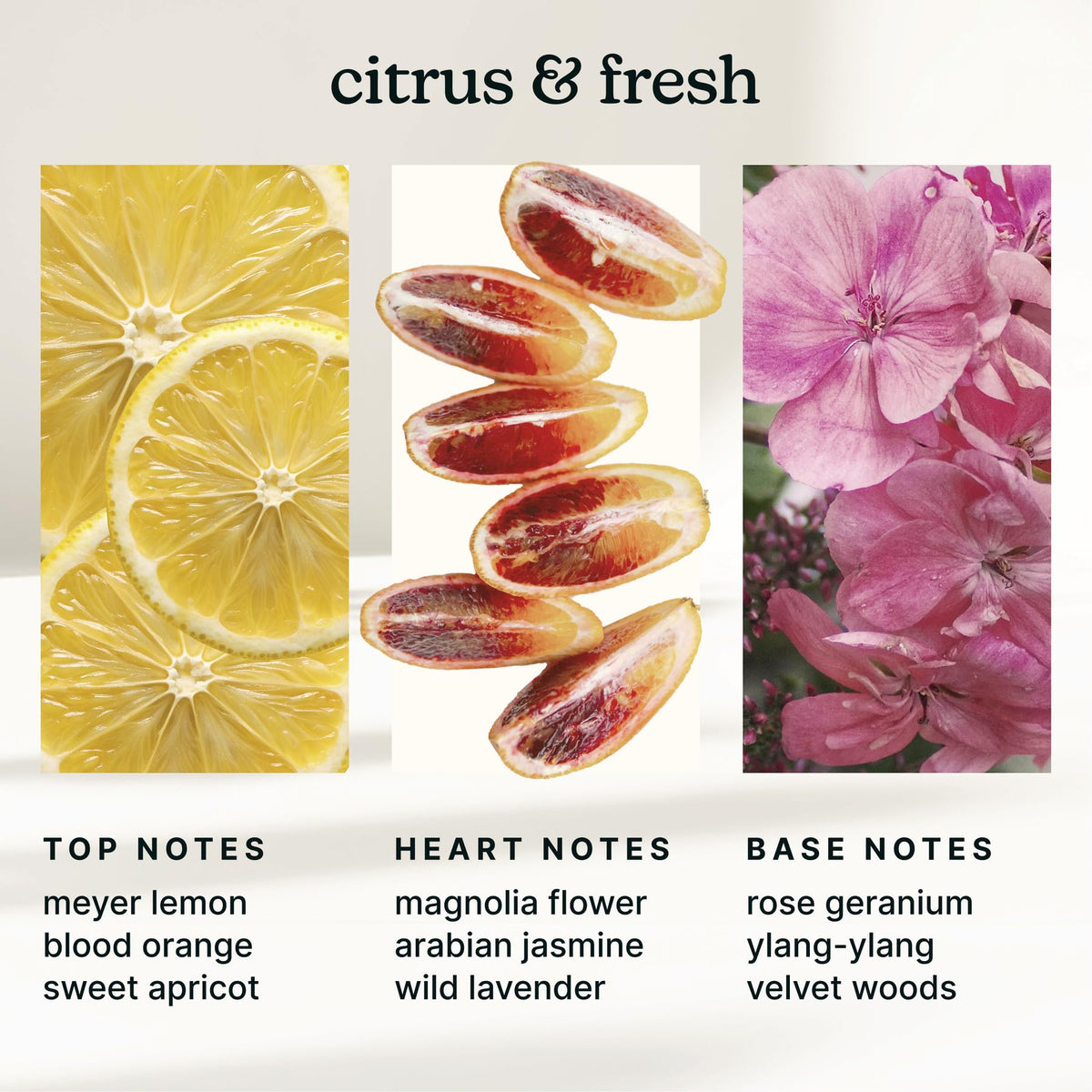 Homedics SereneScent Amalfi Bliss diffuser plug-in for easy setup and ambiance