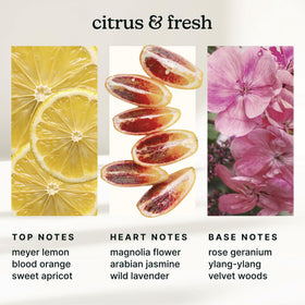 Homedics SereneScent Amalfi Bliss diffuser plug-in for easy setup and ambiance