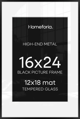 Homeforia 16x24 frame with matte finish highlights modern gallery look.