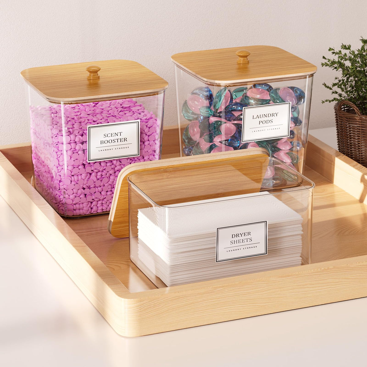 HomePekite included scoops for measuring powder neatly