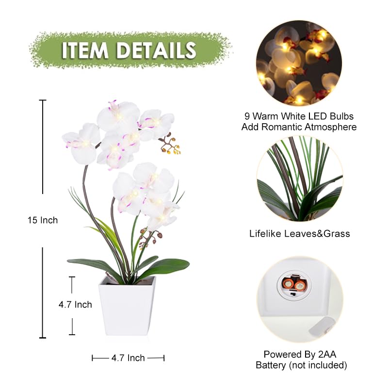 HOMESEASONS Orchid Lamp as dining centerpiece adding color and glow