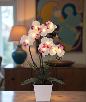 HOMESEASONS Orchid Lamp displayed on a nightstand for soft lighting