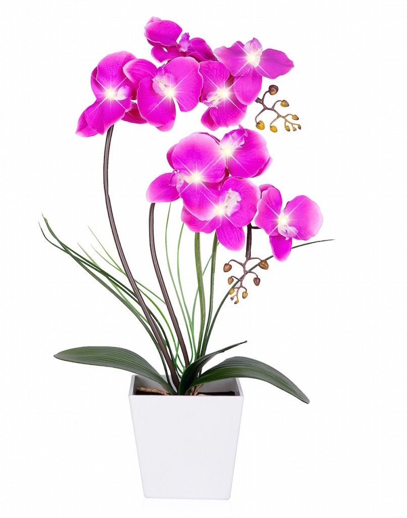HOMESEASONS Orchid Lamp purple Phalaenopsis close-up with warm LED glow for cozy ambiance.