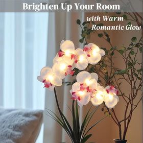 HOMESEASONS Orchid Lamp warm LED glow enhances ambiance on a surface