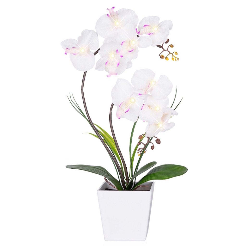 HOMESEASONS Orchid Lamp White with elegant petals and warm LED glow for cozy rooms