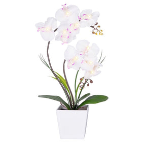 HOMESEASONS Orchid Lamp White with elegant petals and warm LED glow for cozy rooms