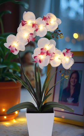 HOMESEASONS Orchid petals detail highlighting lifelike texture