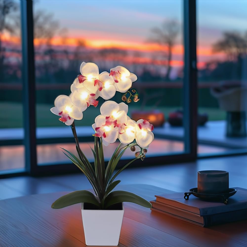 HOMESEASONS pre-lit orchid arranged as a stylish table centerpiece