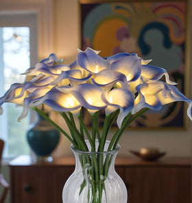HOMESEASONS timer-enabled LED night light offers hands-free ambience control
