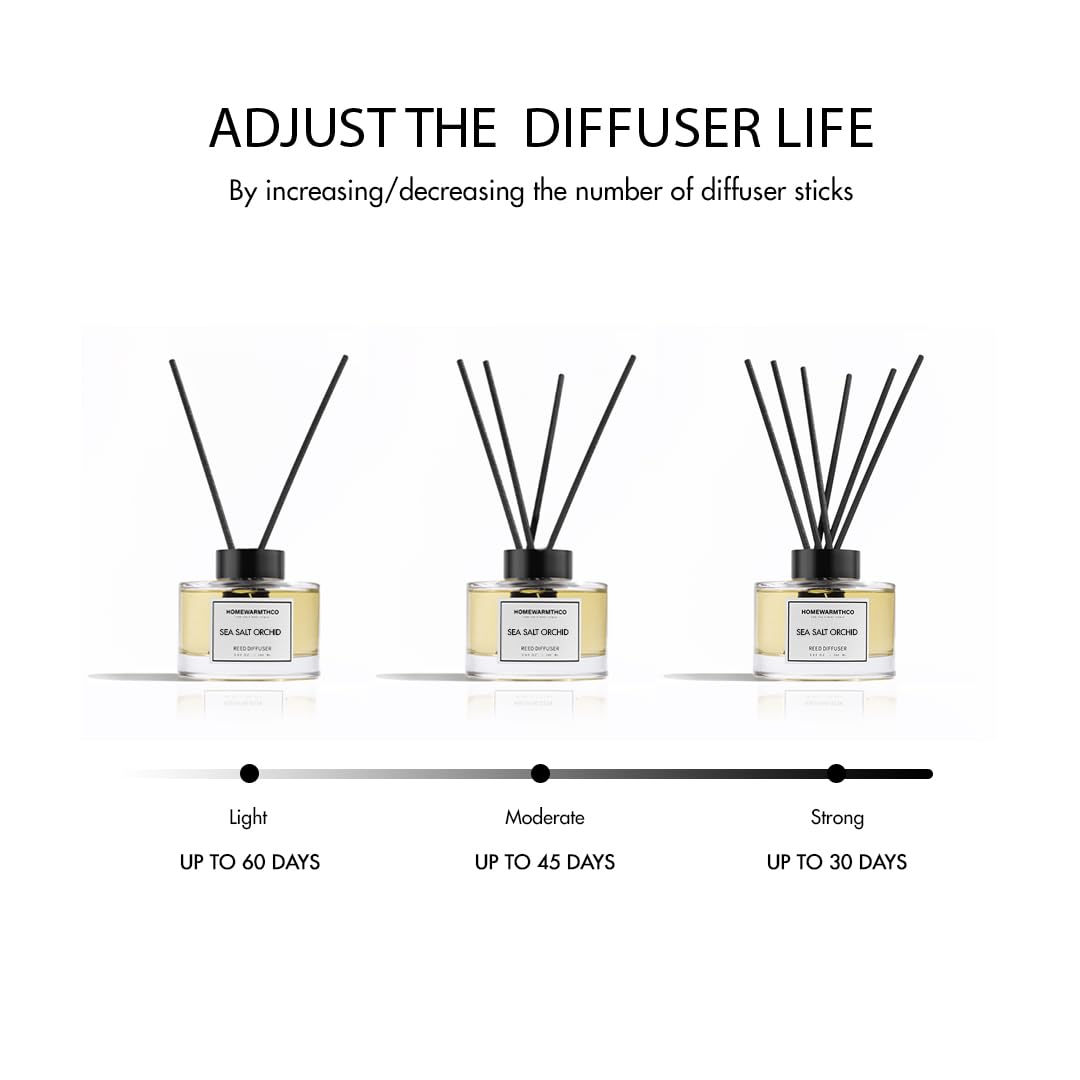 Homewarmthco Blooms by Night office diffuser on desk for calm concentration