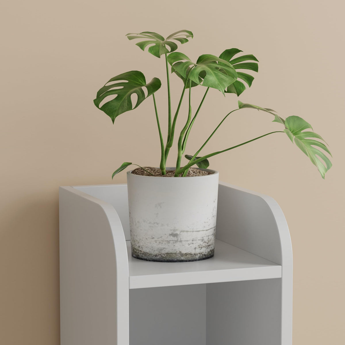 Homhedy cabinet includes dual toilet paper compartments for convenience.