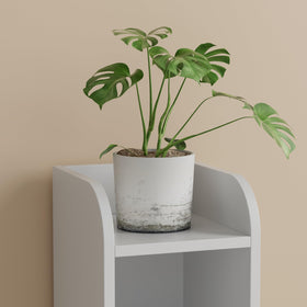 Homhedy cabinet includes dual toilet paper compartments for convenience.