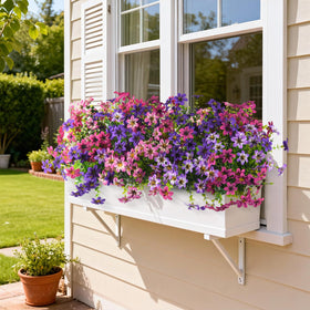 Hommyea no-maintenance flowers save time on watering and pruning.