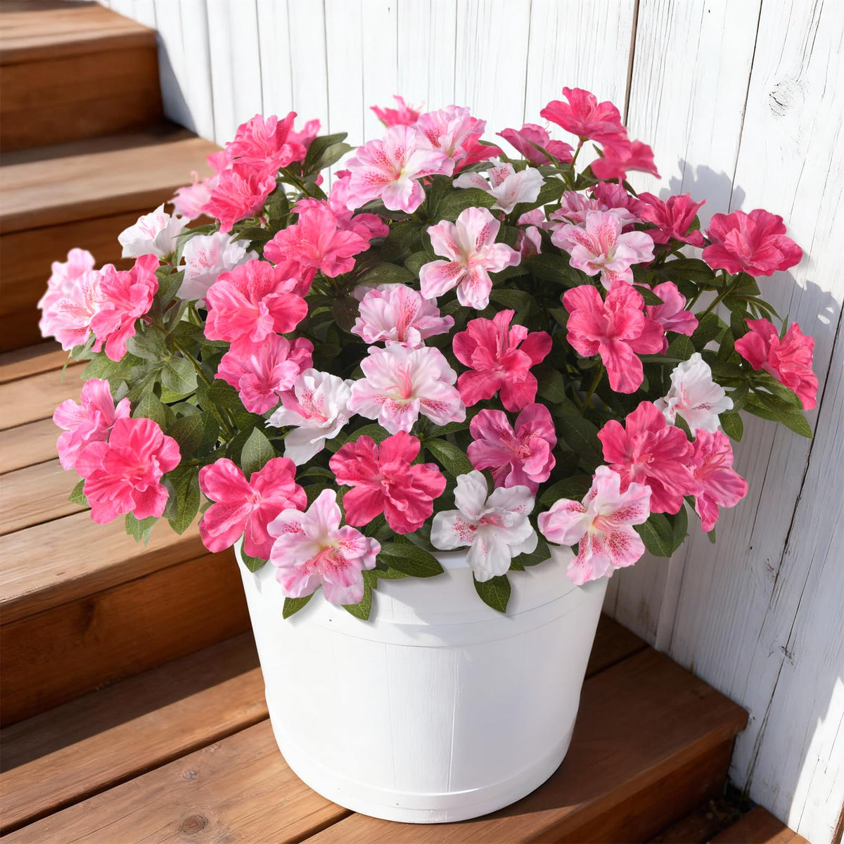Hommyea outdoor flowers eight bundles for planters with lasting color outdoors