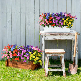 Hommyea weatherproof outdoor flowers withstand rain and sun without fading on patios