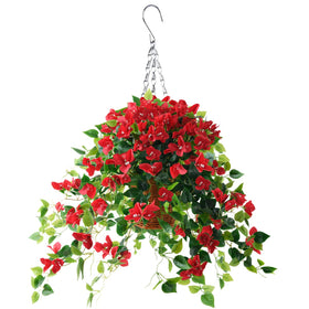 Homsunny bougainvillea hanging flowers red close-up showing vibrant outdoor decor