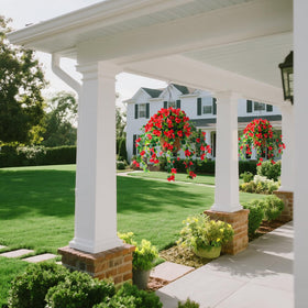 Homsunny bougainvillea hanging flowers red on balcony adds instant charm
