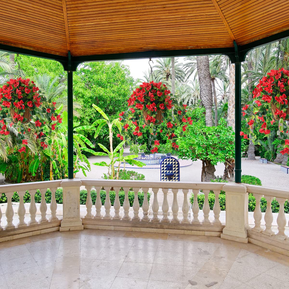 Homsunny bougainvillea hanging flowers red above garden pathway