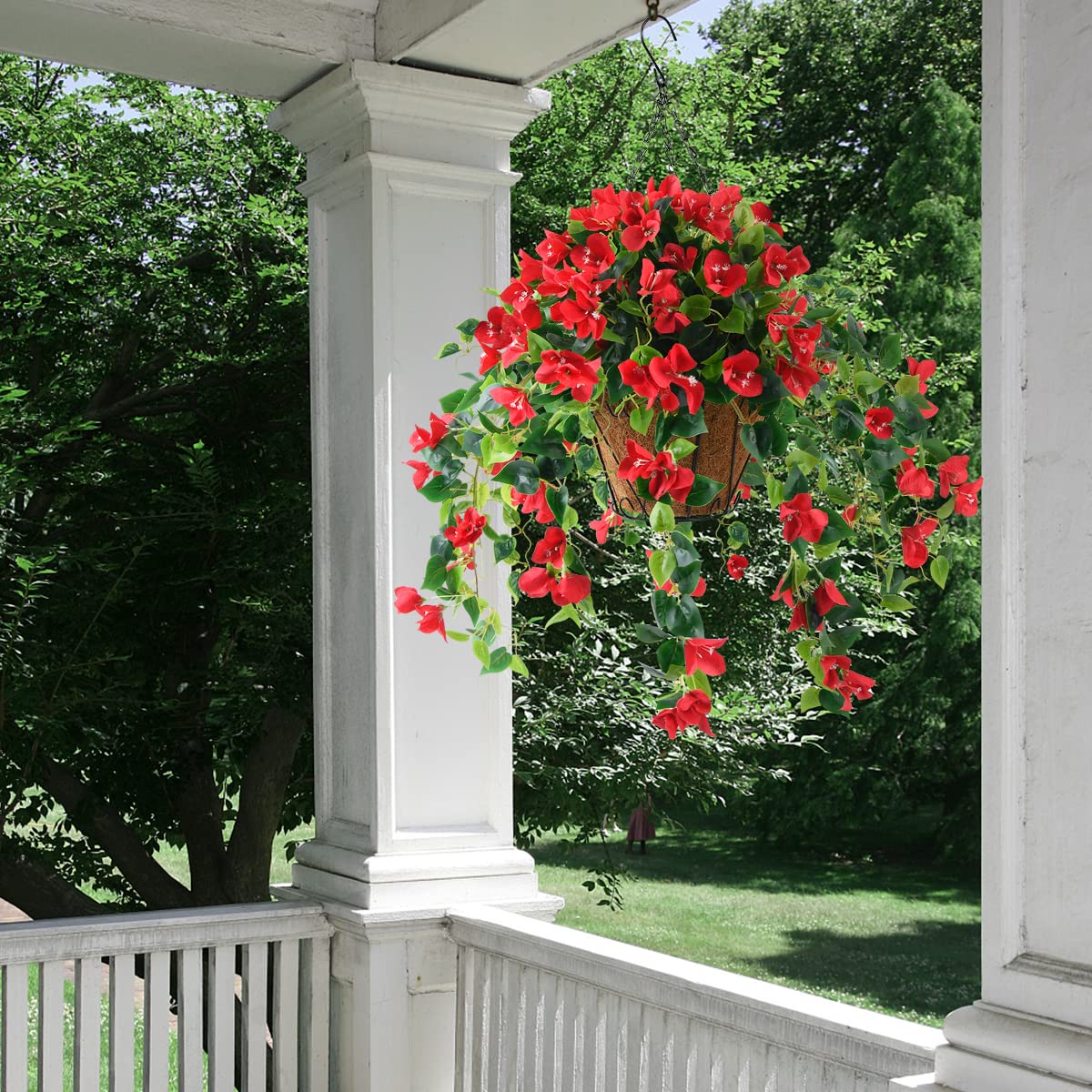 Homsunny bougainvillea hanging flowers red planter ready for indoor or outdoor use