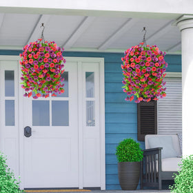 Homsunny colorful morning glory bundles adding seasonal charm to yard