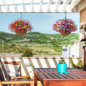 Homsunny hanging basket dimensions to fit outdoor spaces and enhance appeal.