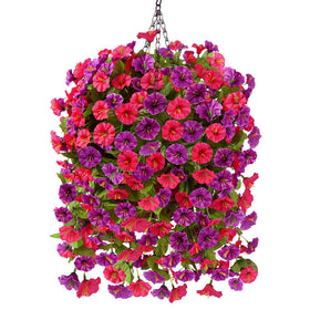 Homsunny hanging basket with morning glory bouquet ready for easy outdoor decor